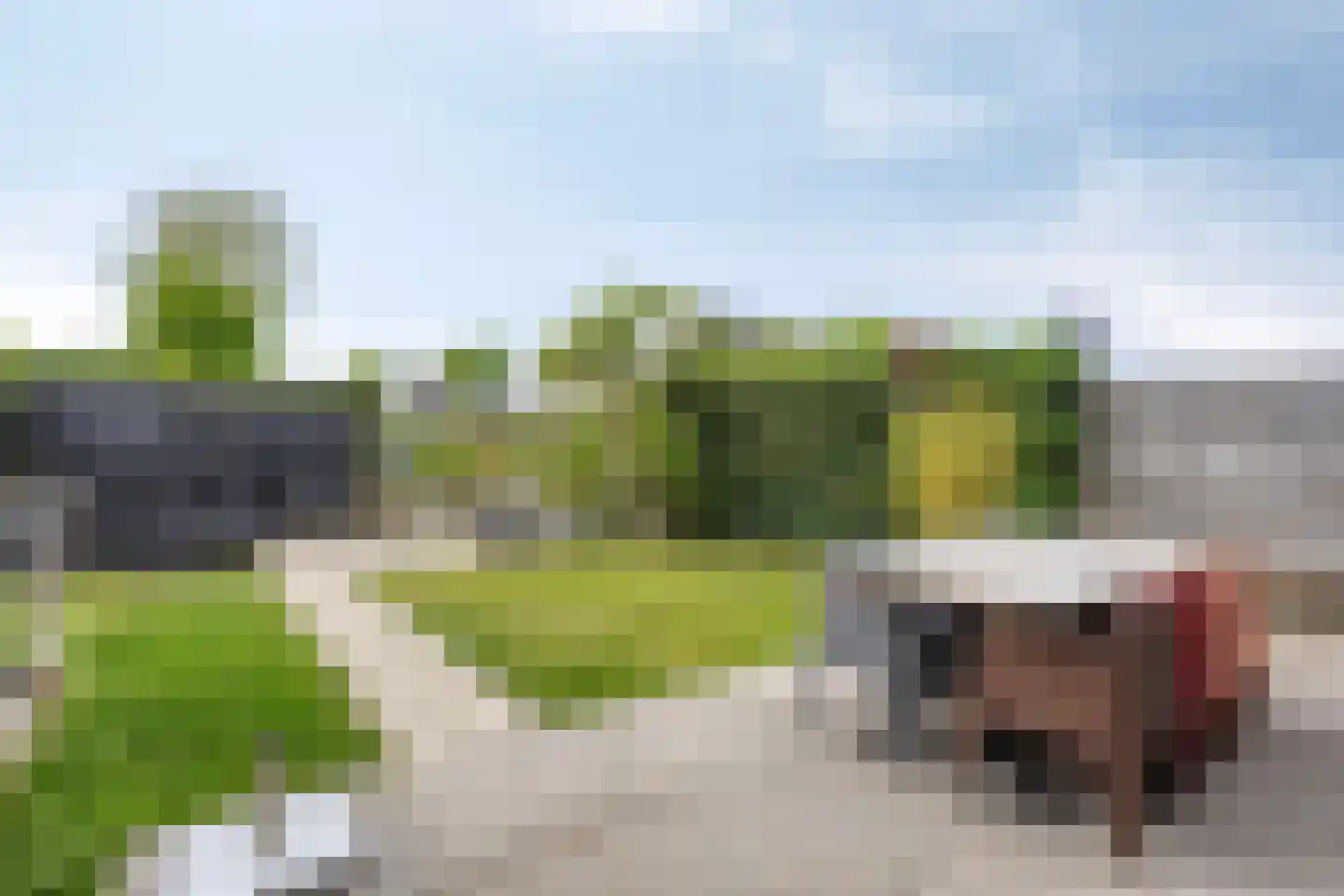 Branding 1 Alkmaar thumbnail 19