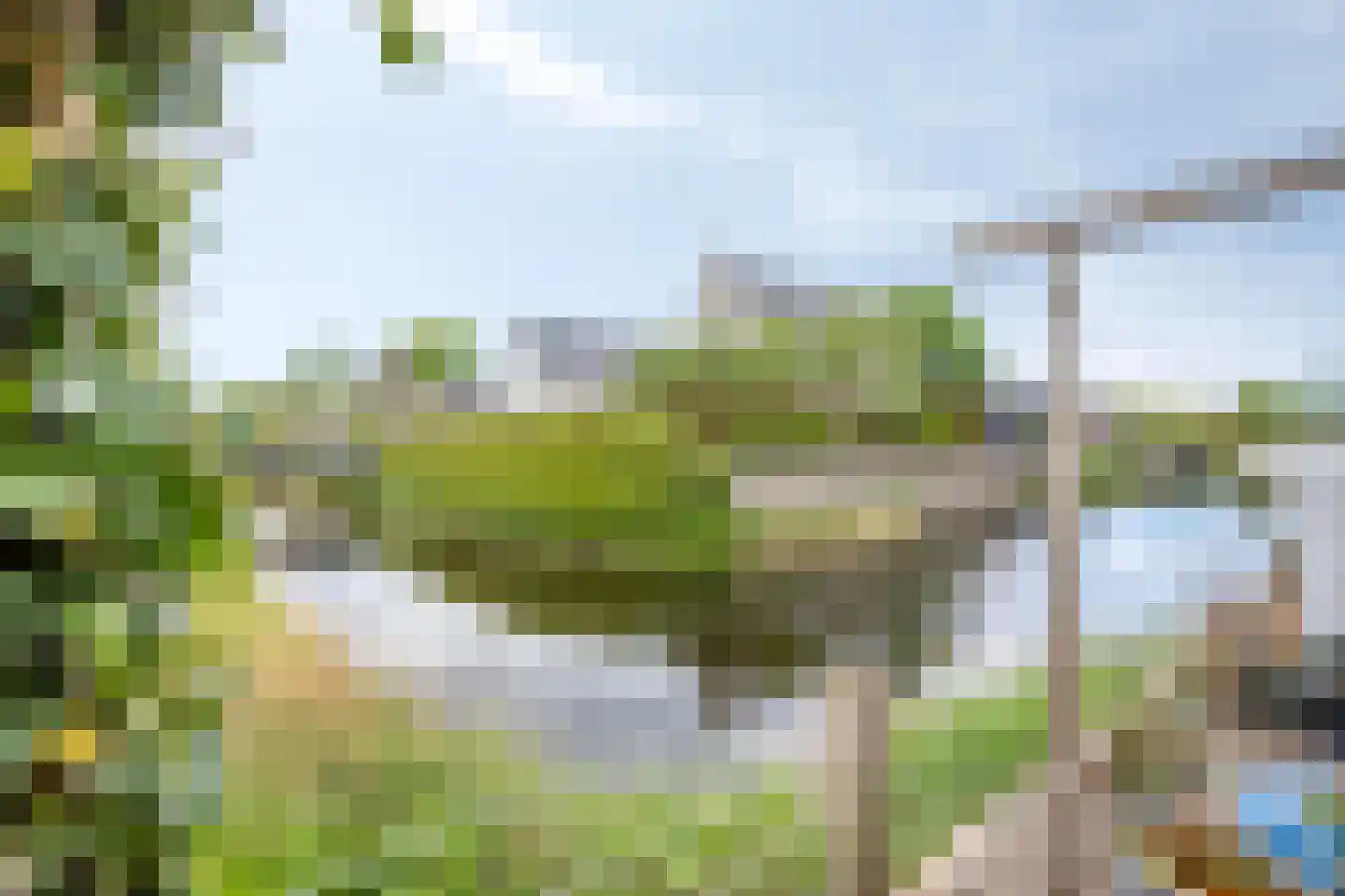 Branding 1 Alkmaar thumbnail 21