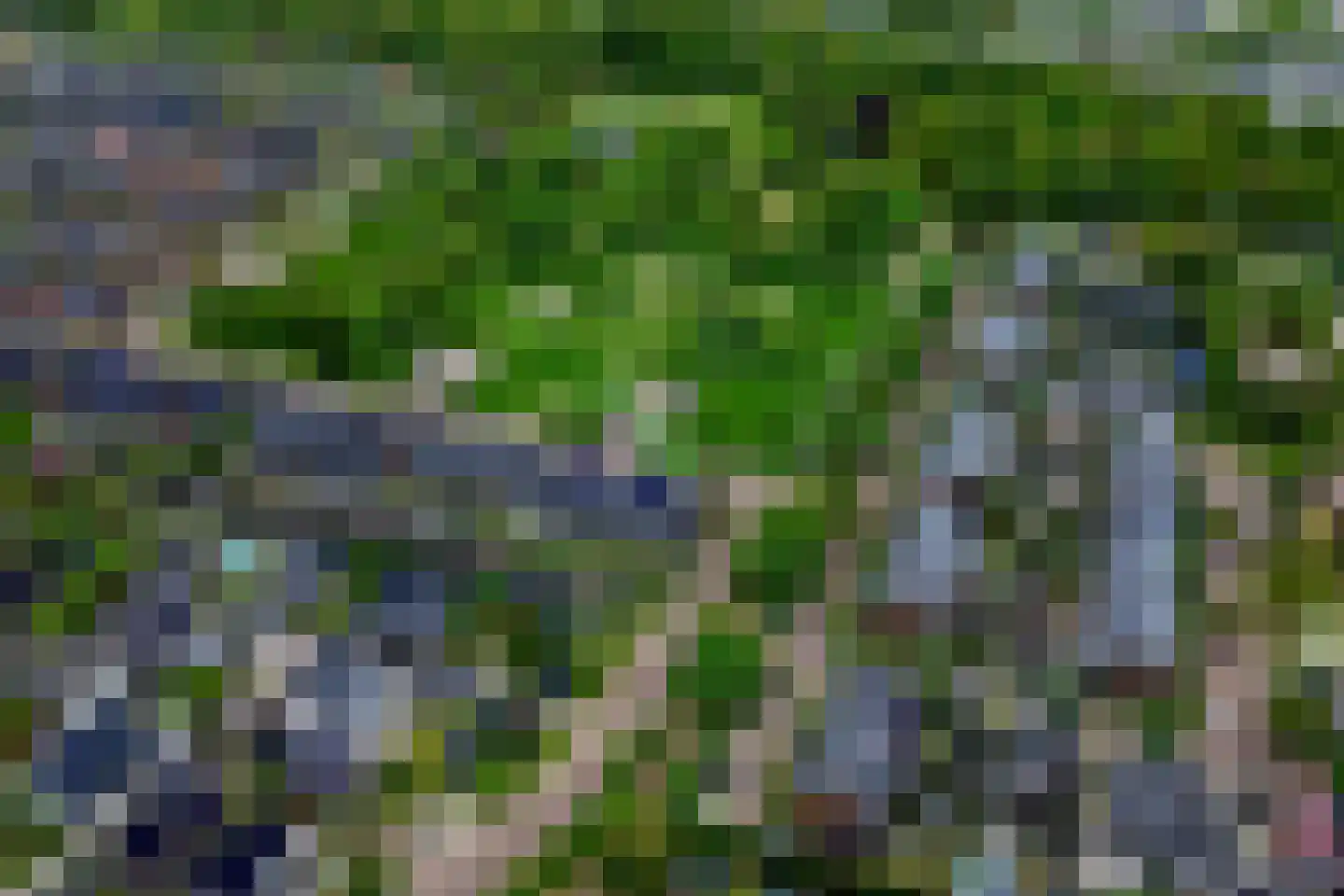 Branding 1 Alkmaar thumbnail 25