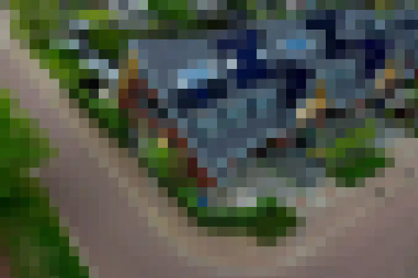 Branding 1 Alkmaar thumbnail 27