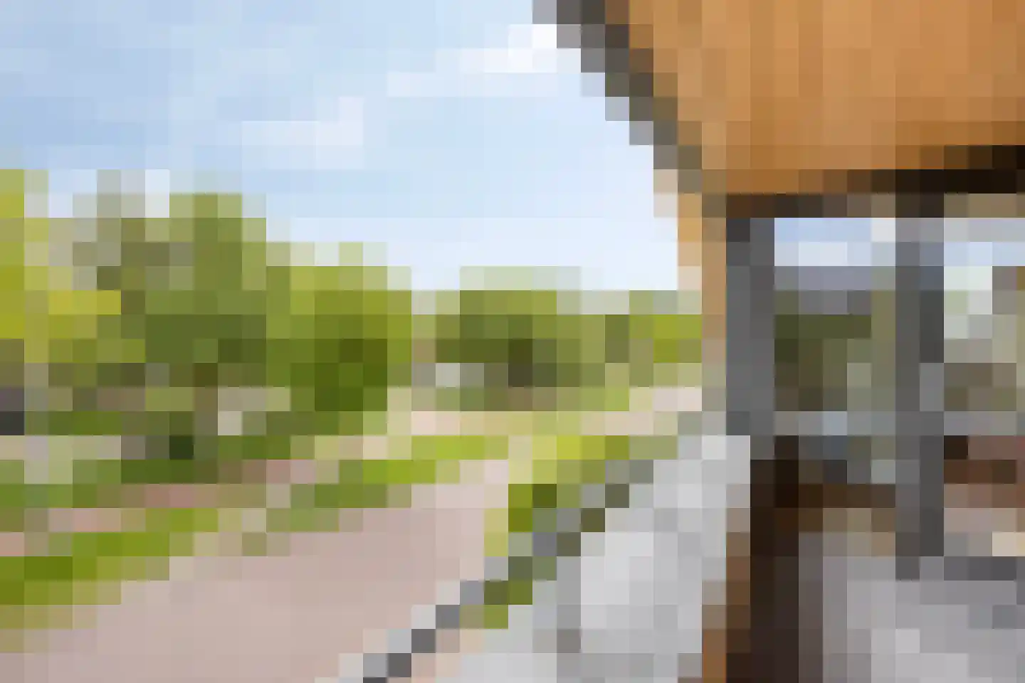Branding 1 Alkmaar thumbnail 30