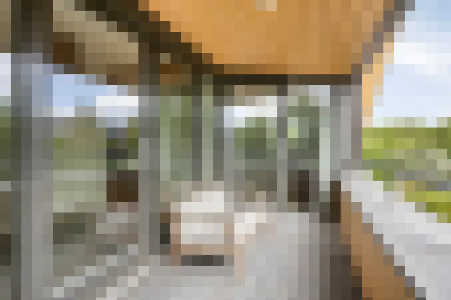 Branding 1 Alkmaar thumbnail 34