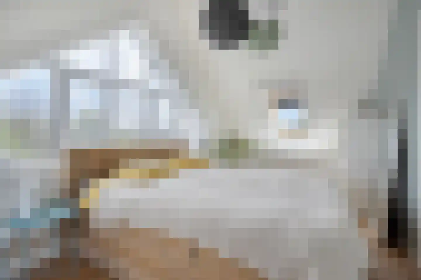 Branding 1 Alkmaar thumbnail 44