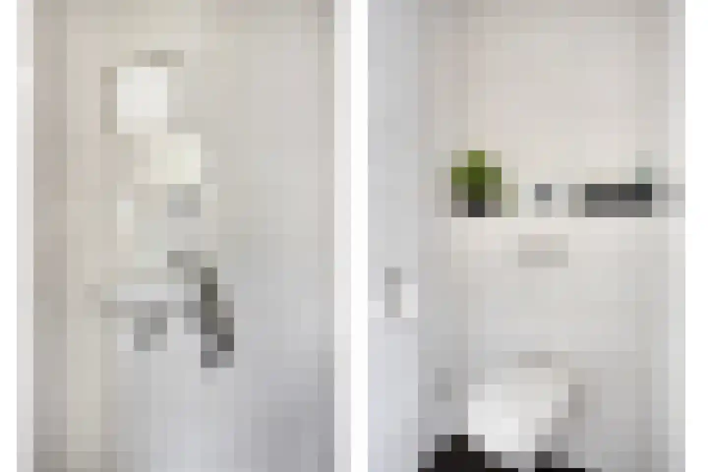 Branding 1 Alkmaar thumbnail 8