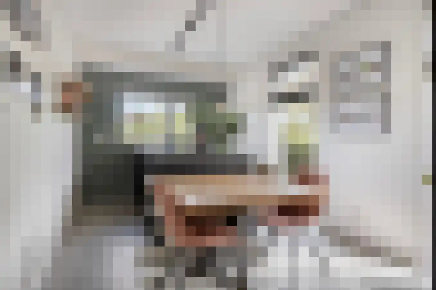 Branding 1 Alkmaar thumbnail 9