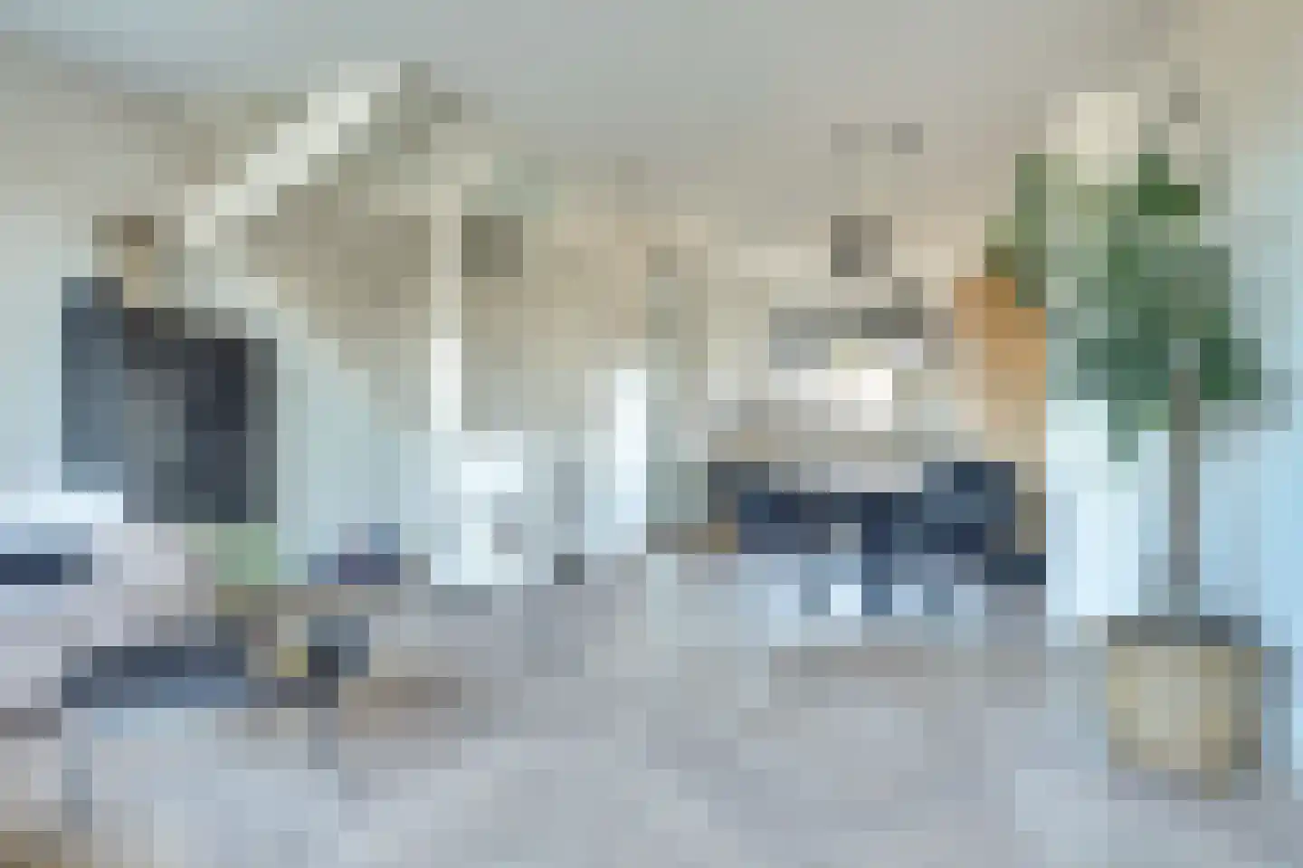 Branding 11 Alkmaar thumbnail 13