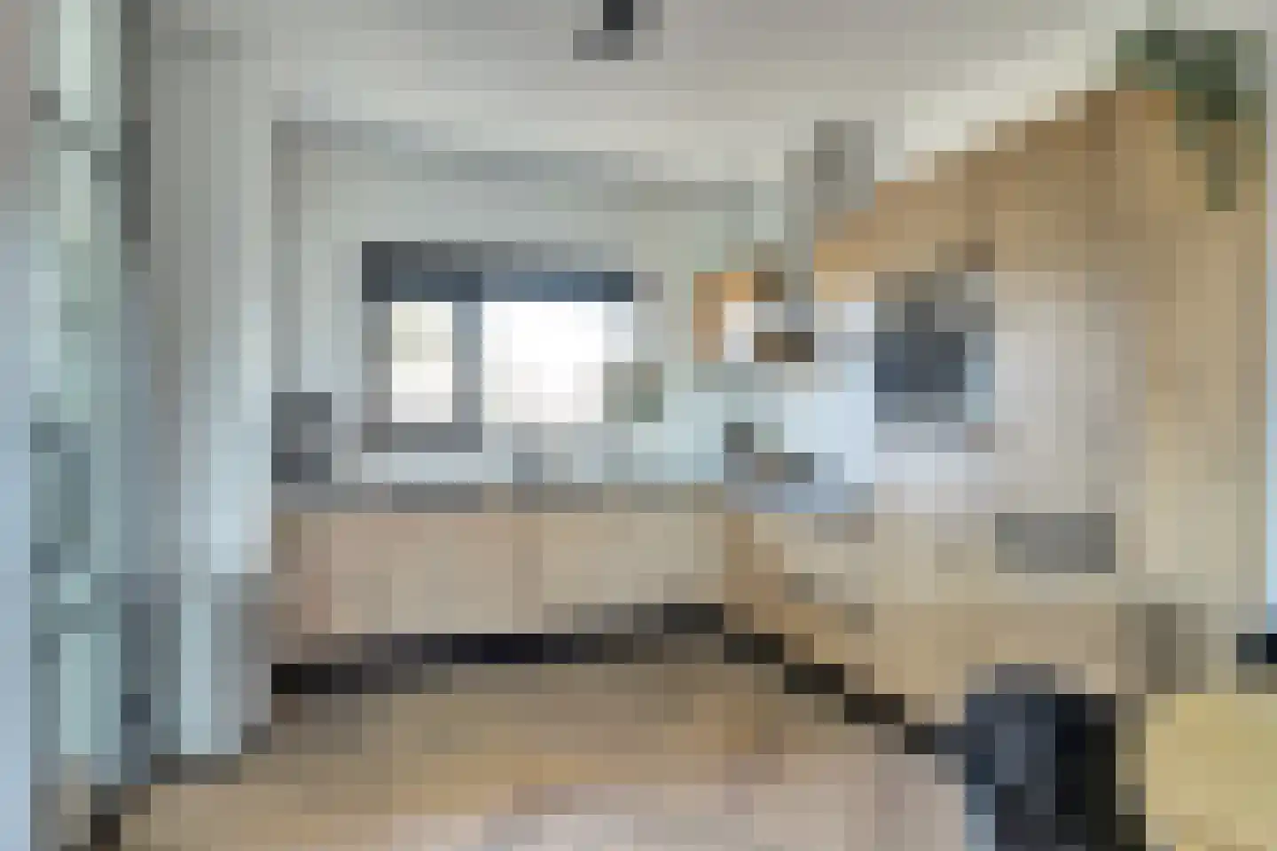 Branding 11 Alkmaar thumbnail 15