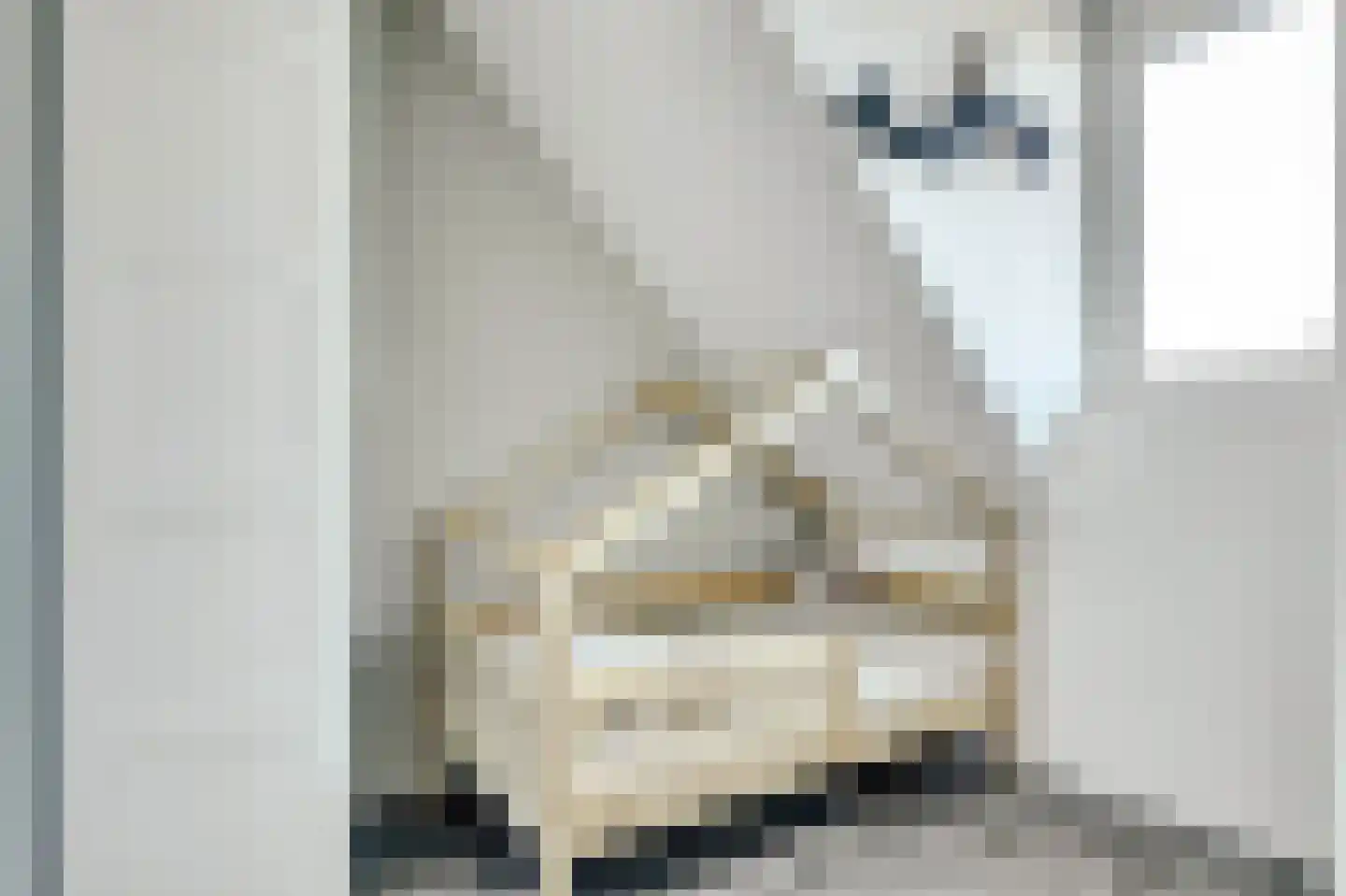 Branding 11 Alkmaar thumbnail 23