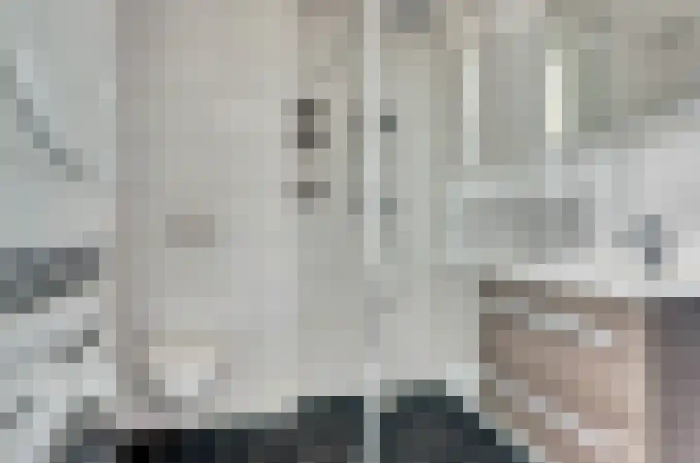 Branding 11 Alkmaar thumbnail 29