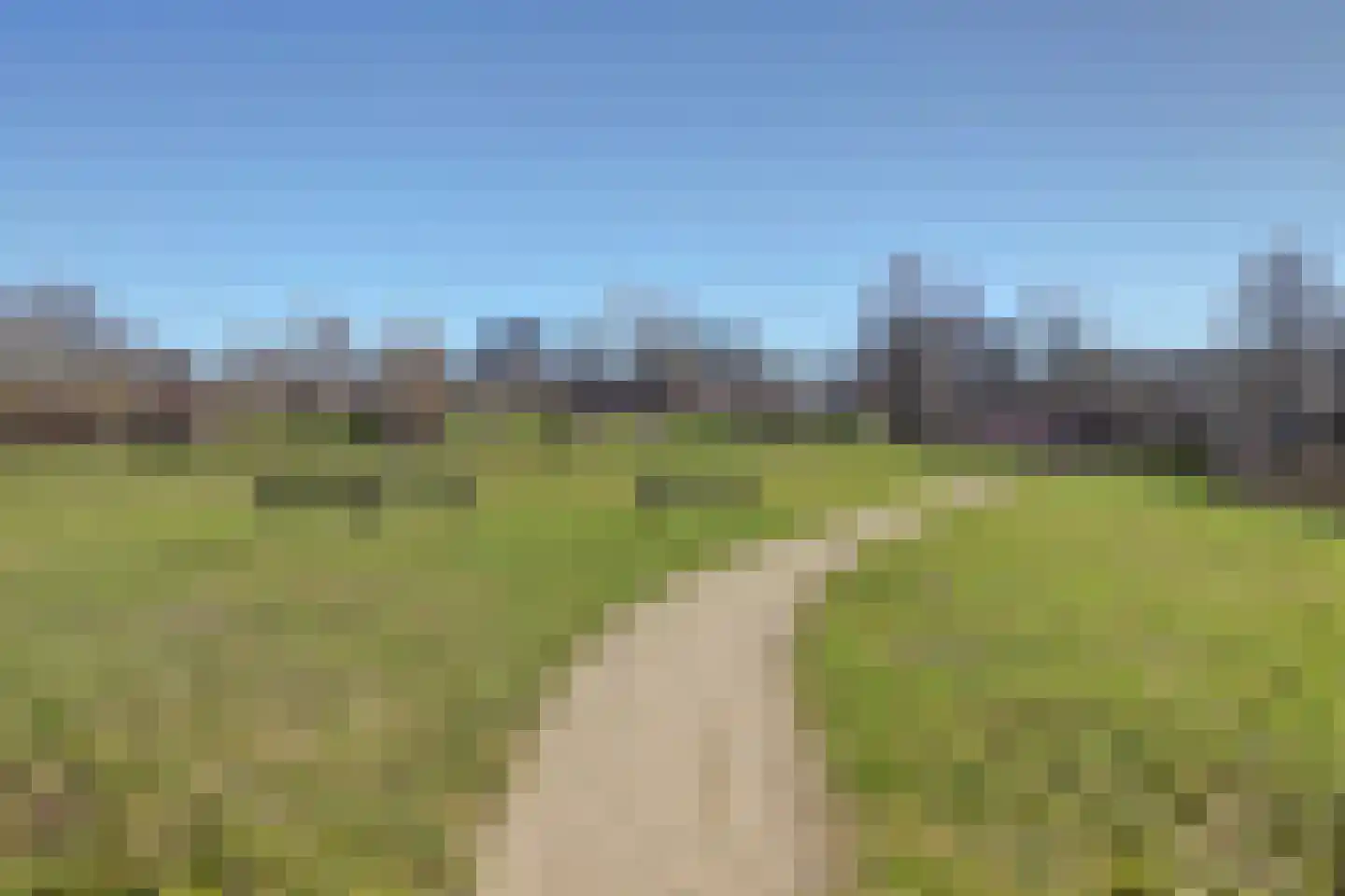 Branding 11 Alkmaar thumbnail 41