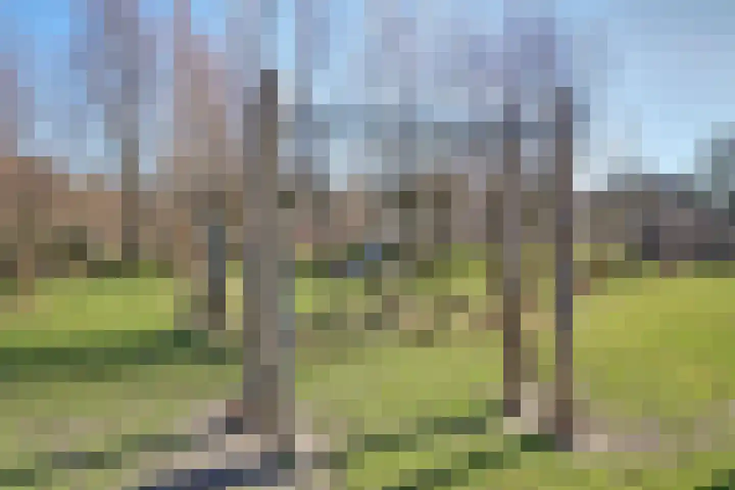 Branding 11 Alkmaar thumbnail 43