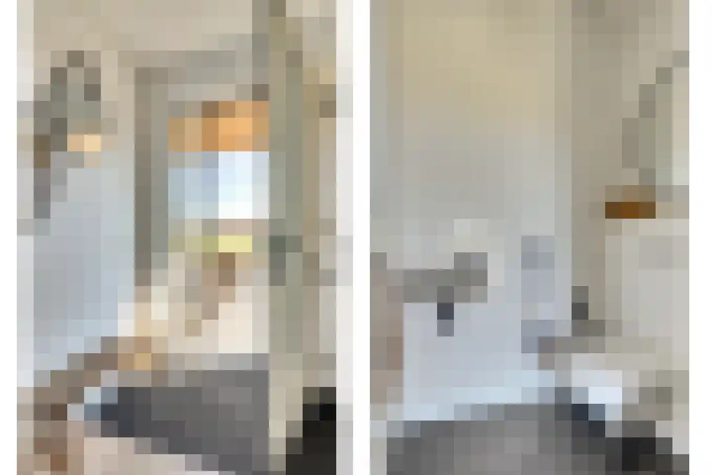 Branding 11 Alkmaar thumbnail 6