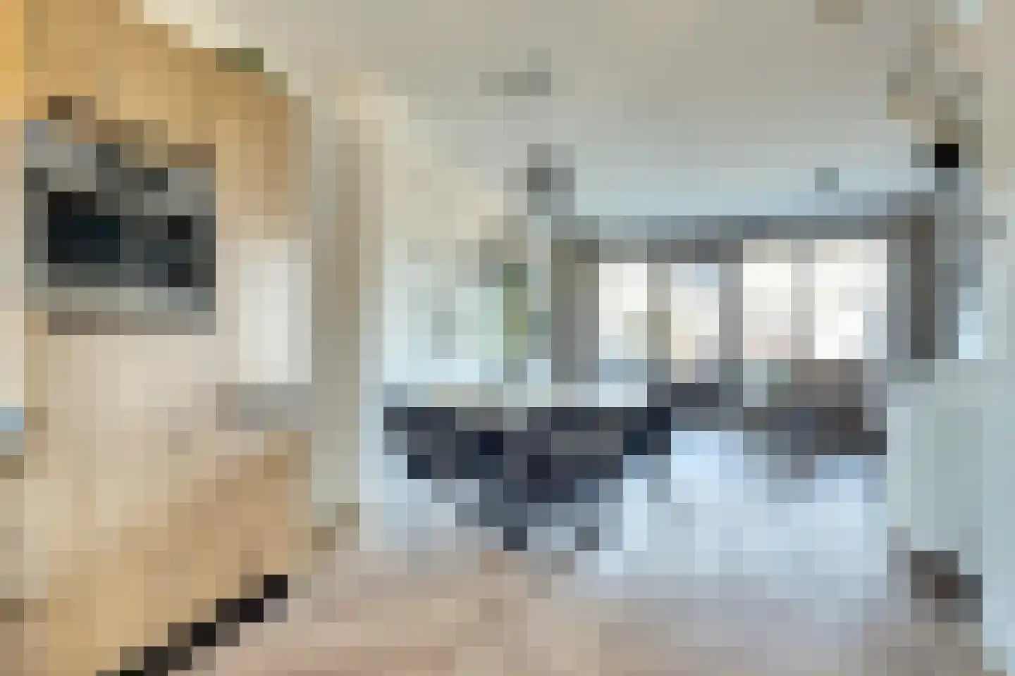 Branding 11 Alkmaar thumbnail 9