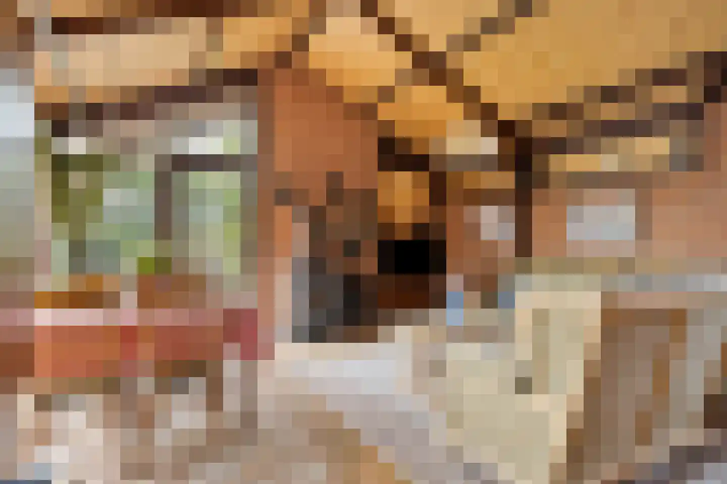 Branding 13 Zoutelande thumbnail 19