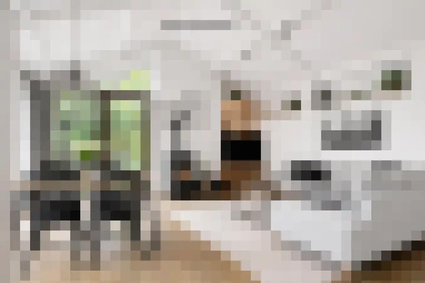 Branding 13 Zoutelande thumbnail 20