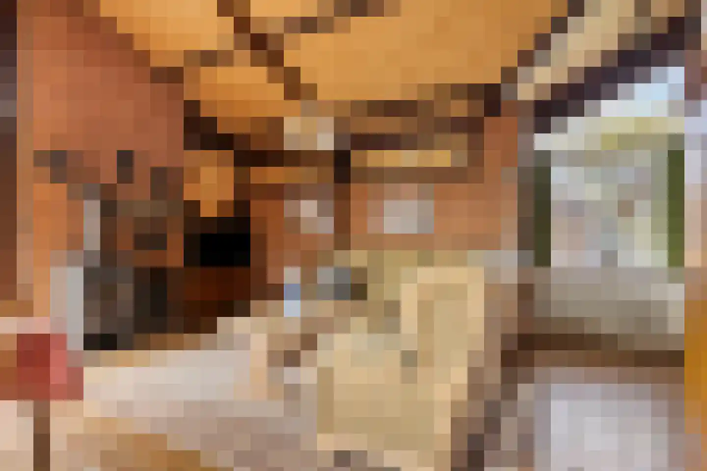 Branding 13 Zoutelande thumbnail 21