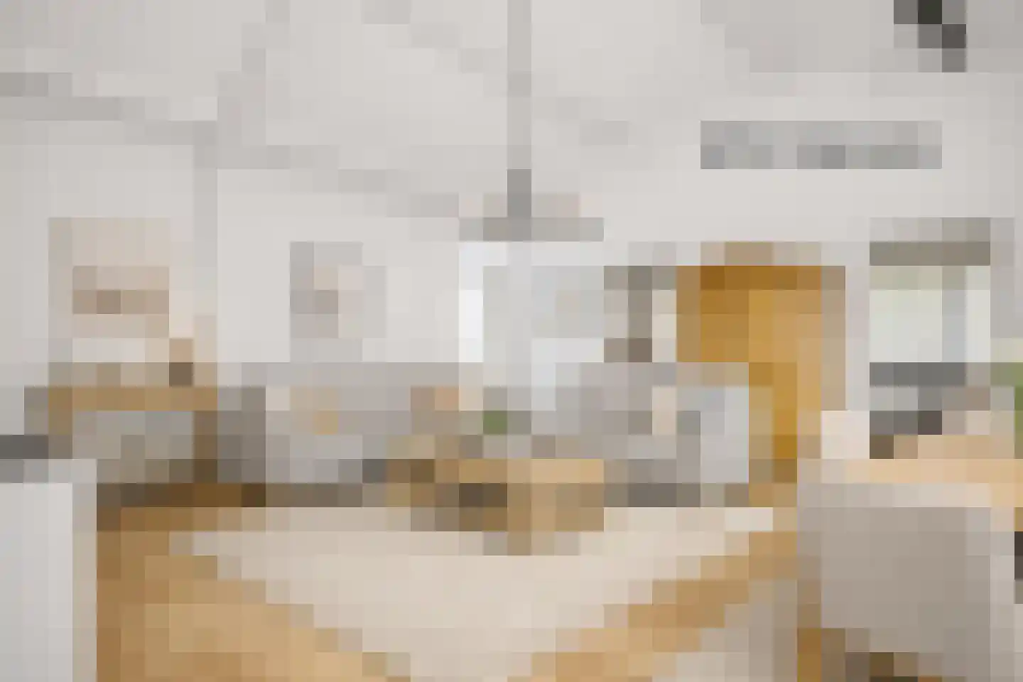 Branding 13 Zoutelande thumbnail 24