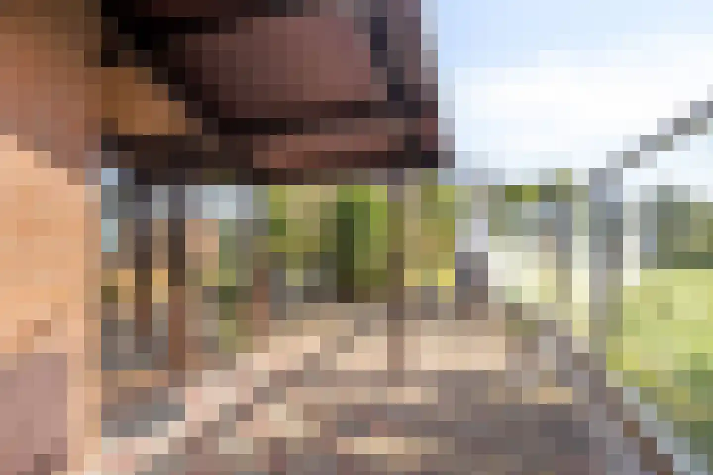 Branding 13 Zoutelande thumbnail 25