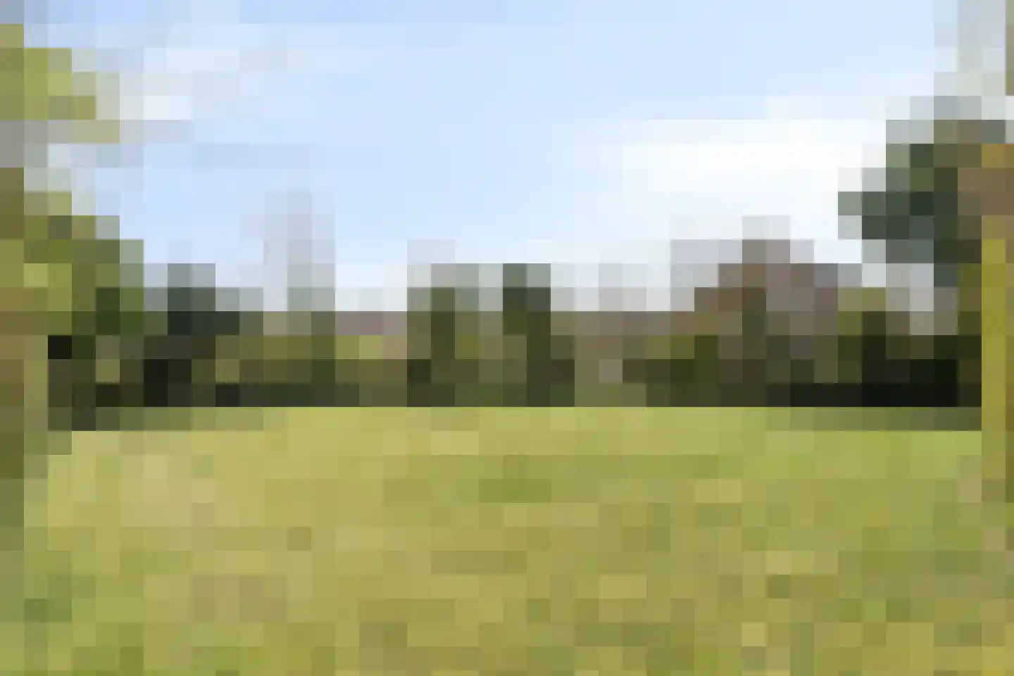 Branding 13 Zoutelande thumbnail 28