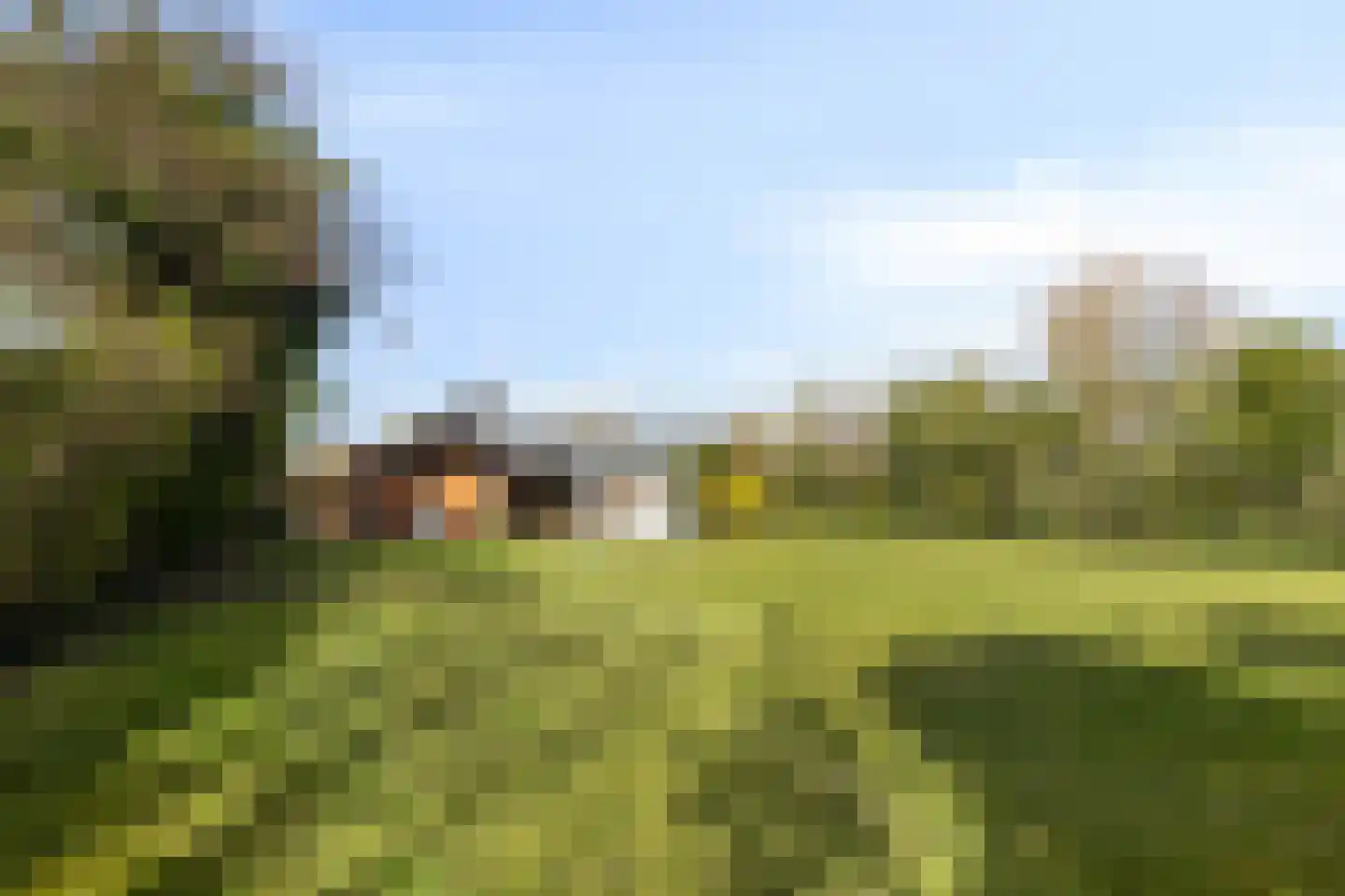 Branding 13 Zoutelande thumbnail 29