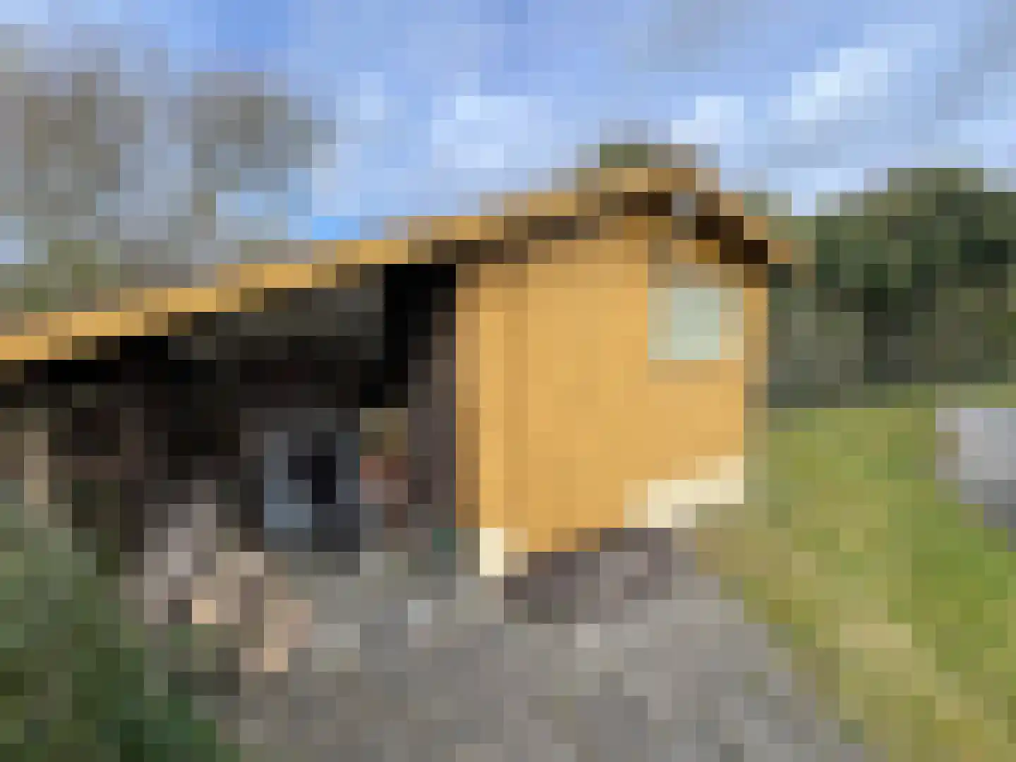 Branding 13 Zoutelande thumbnail 32