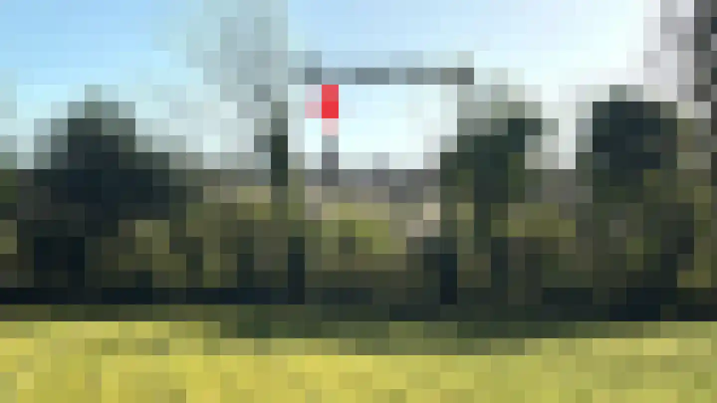 Branding 13 Zoutelande thumbnail 34