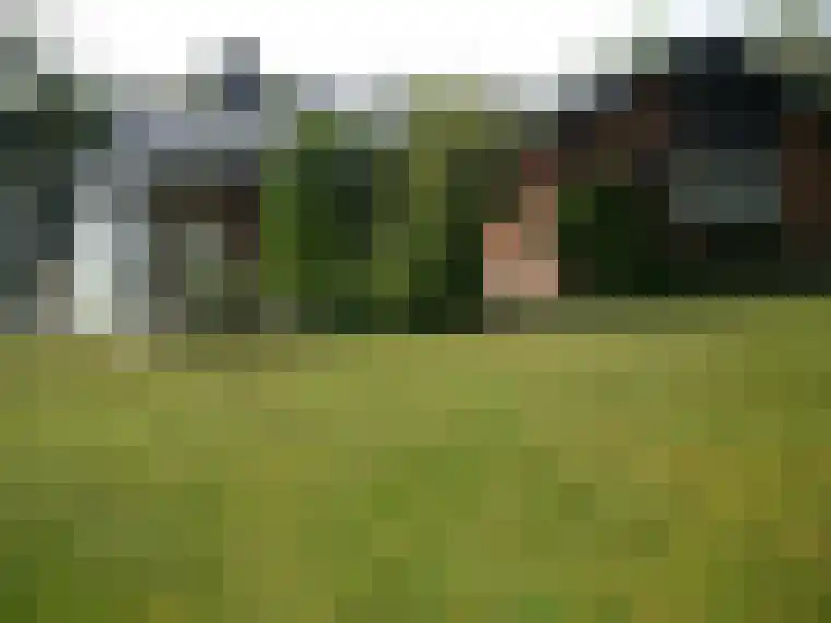 Branding 13 Zoutelande thumbnail 35