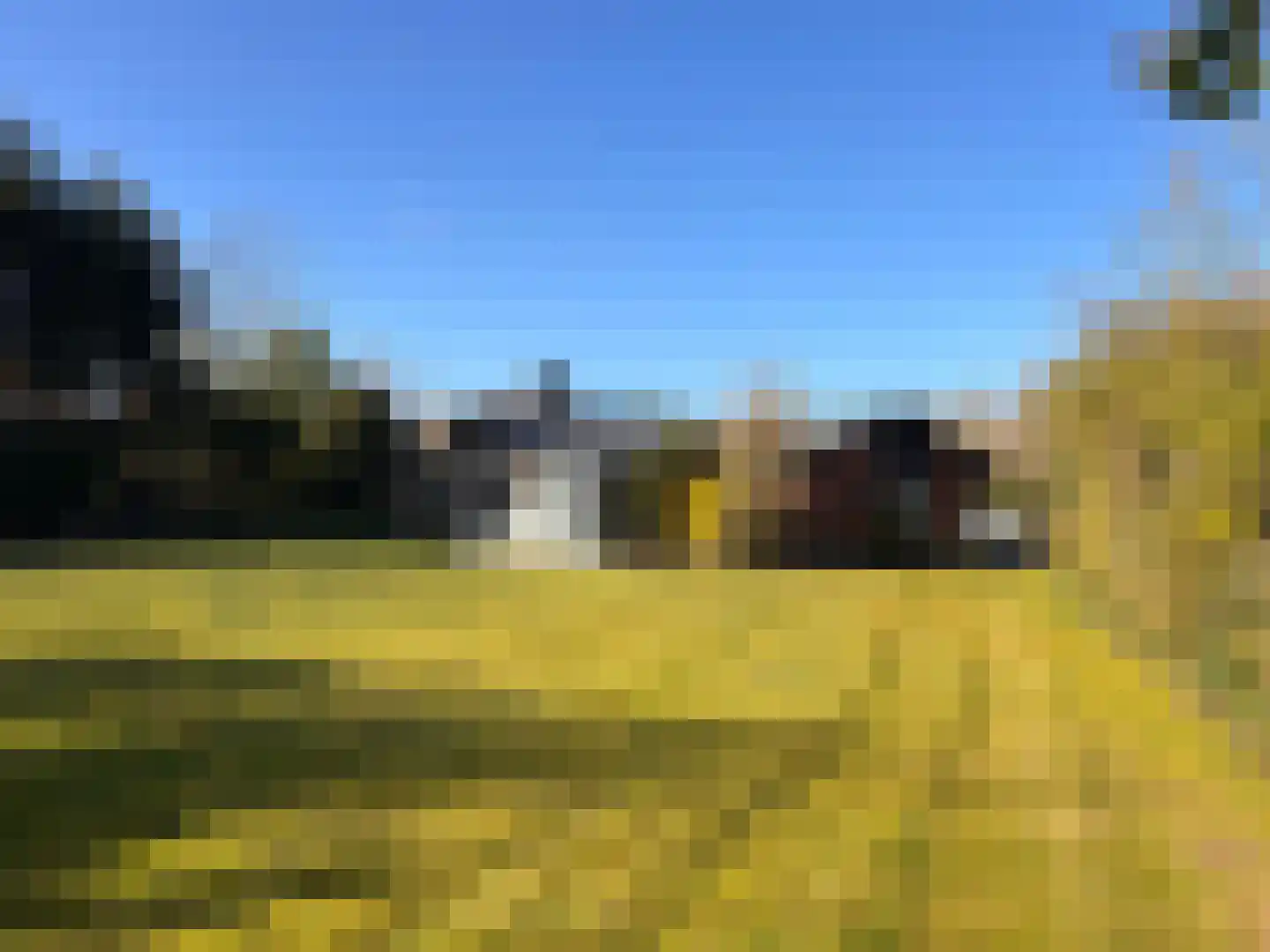 Branding 13 Zoutelande thumbnail 36