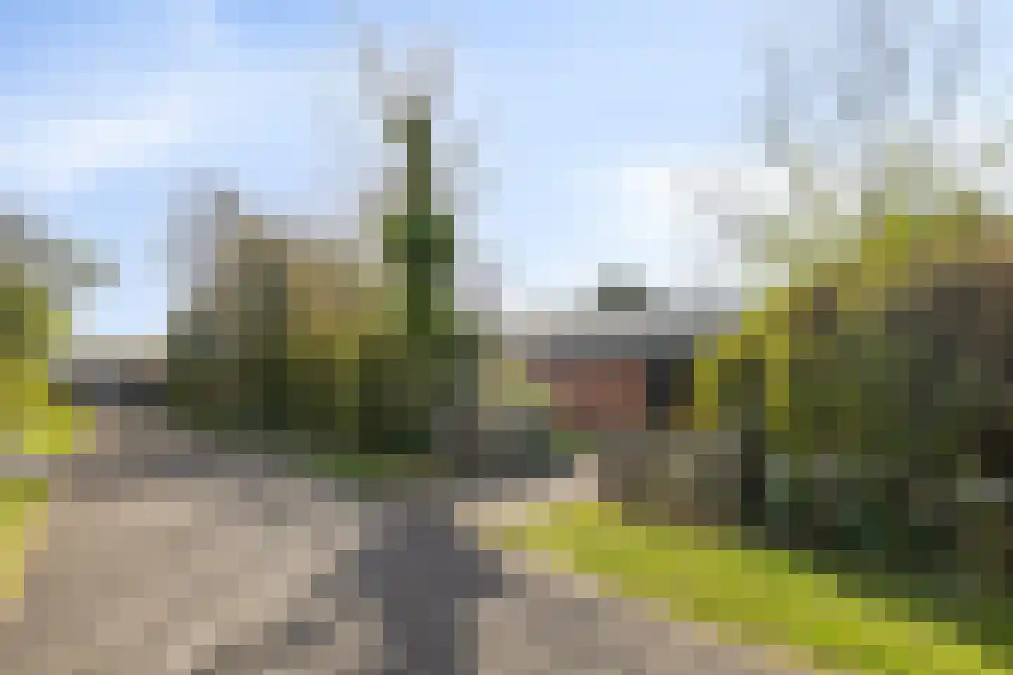 Branding 13 Zoutelande thumbnail 5