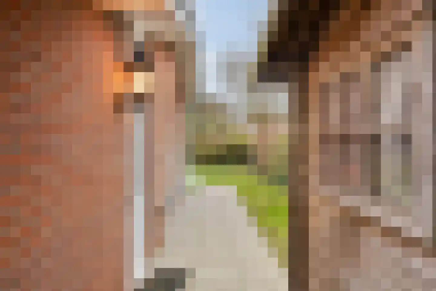 Branding 15 Zoutelande thumbnail 12