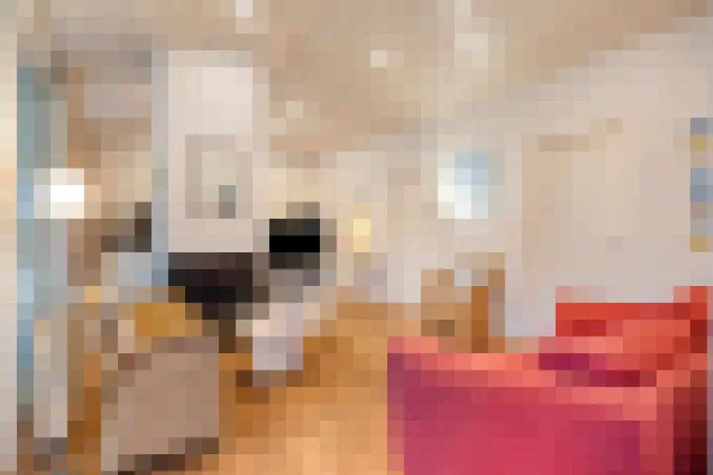 Branding 15 Zoutelande thumbnail 16