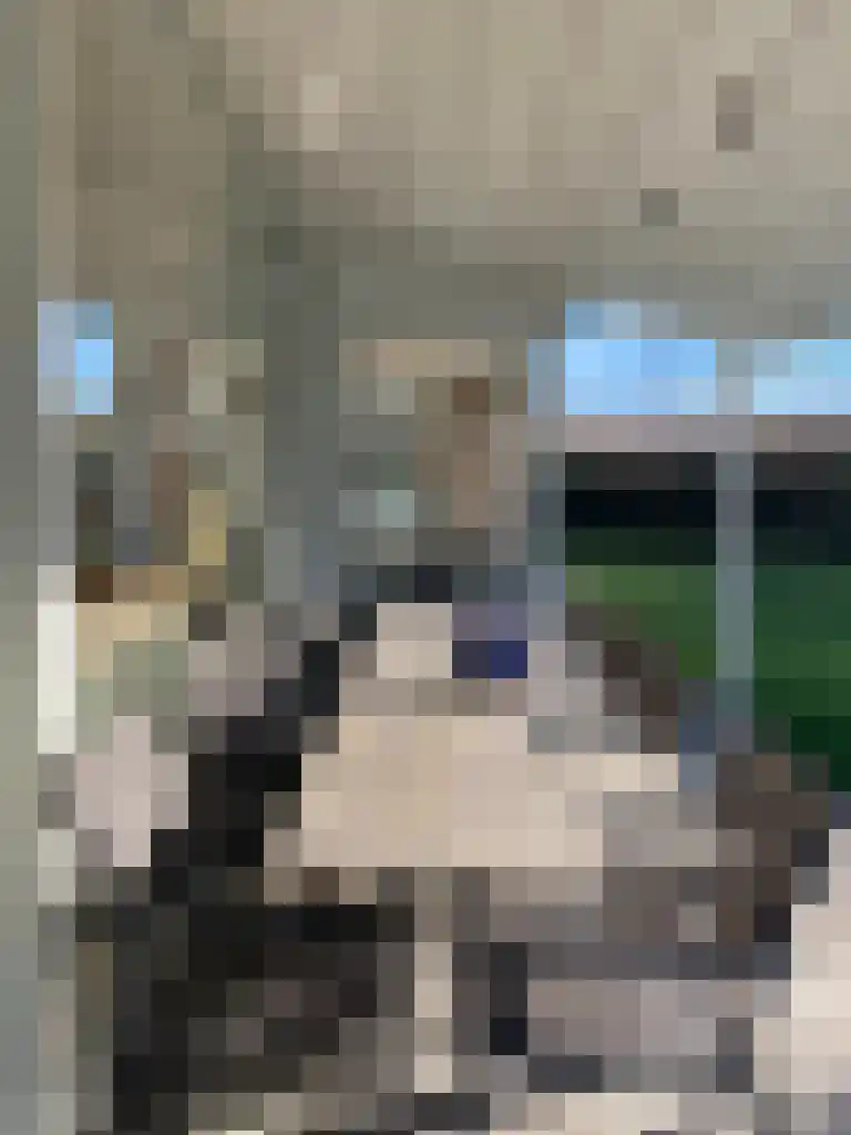 Branding 15 Zoutelande thumbnail 21