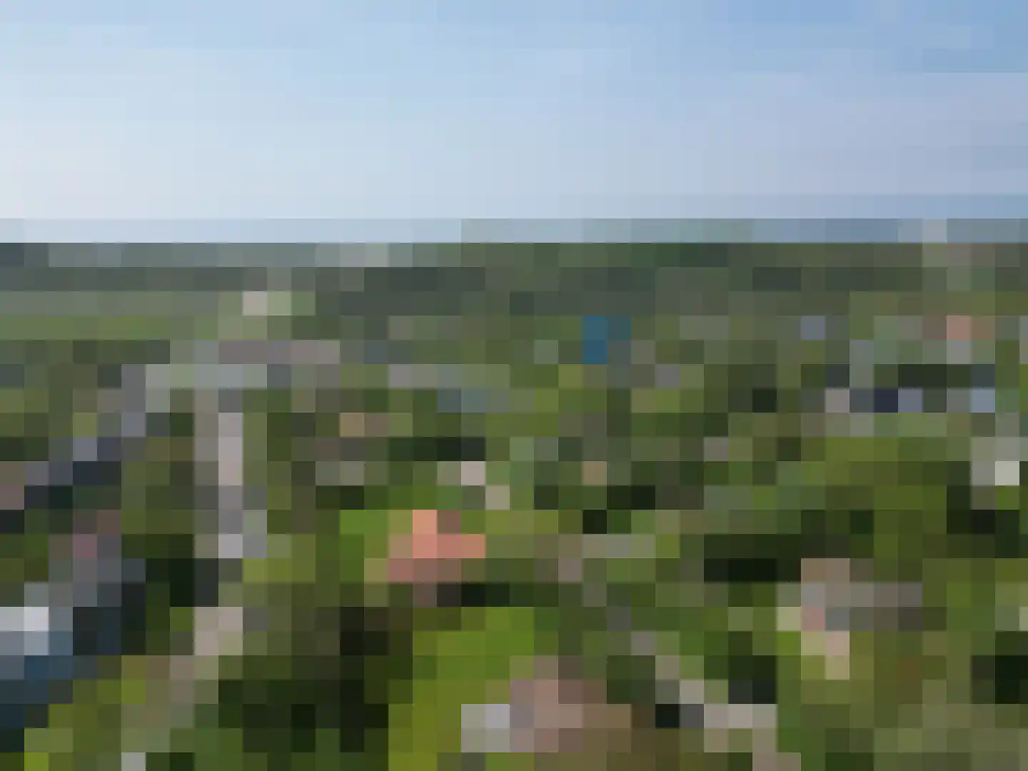 Branding 15 Zoutelande thumbnail 5