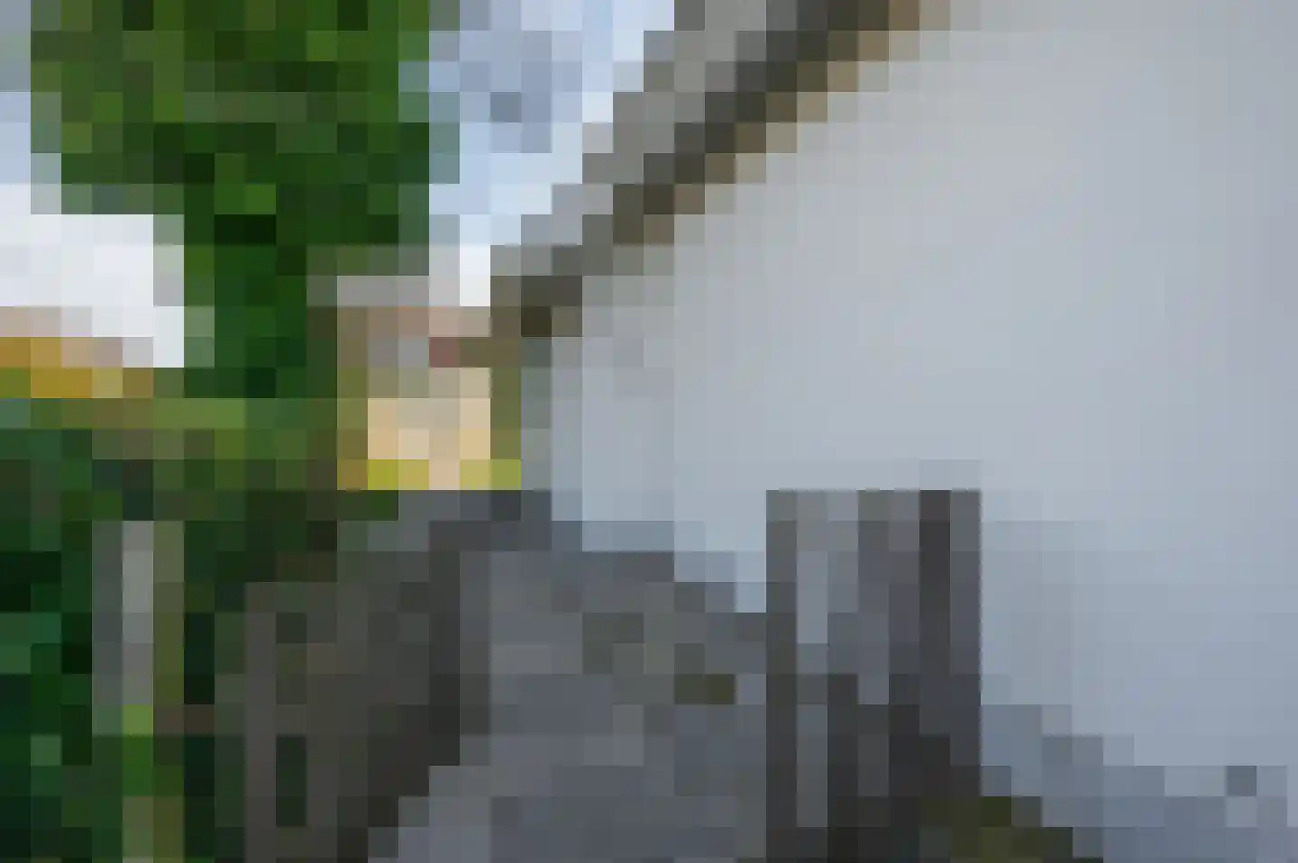 Branding 17 Domburg thumbnail 10