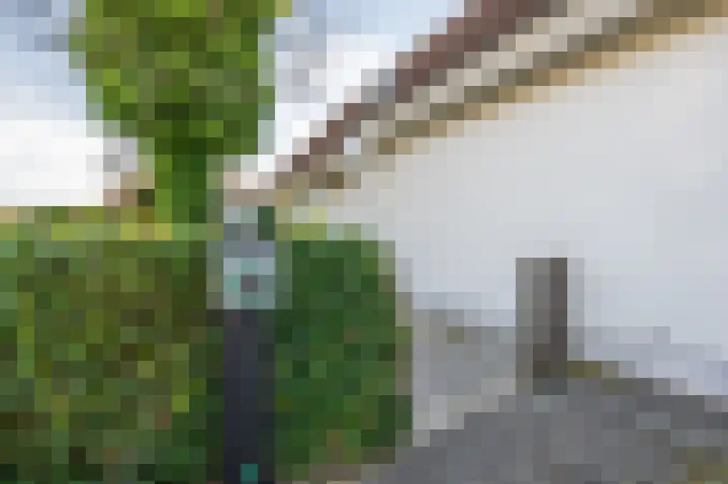Branding 17 Domburg thumbnail 11
