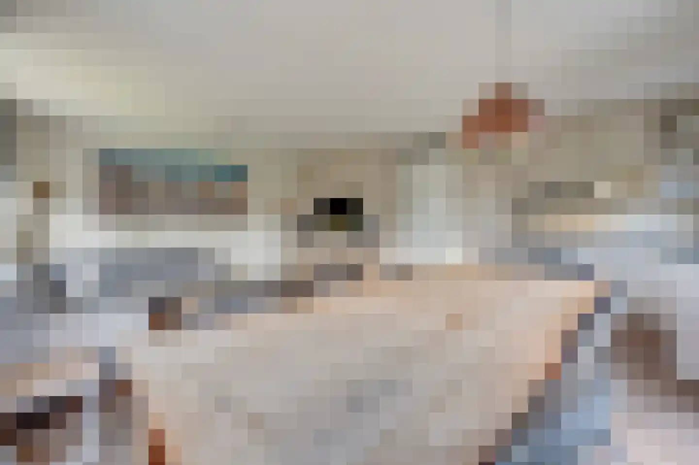 Branding 17 Domburg thumbnail 19