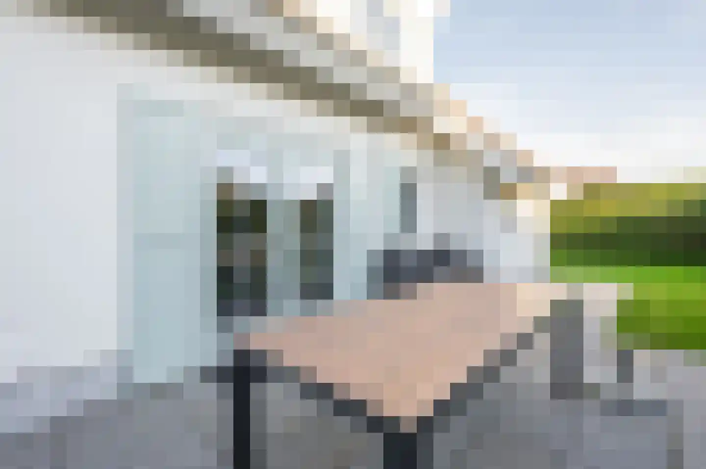 Branding 17 Domburg thumbnail 21