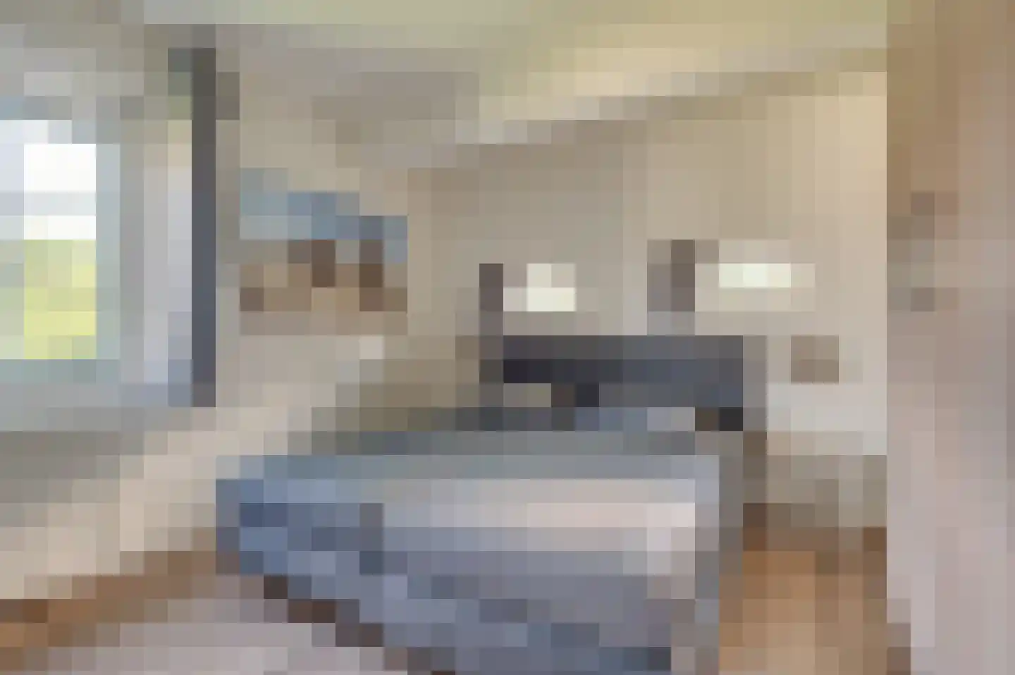 Branding 17 Domburg thumbnail 24