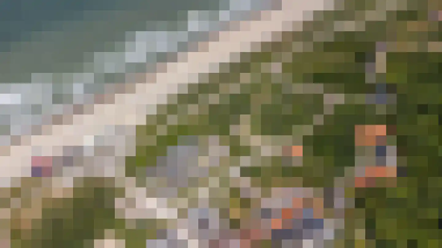 Branding 17 Domburg thumbnail 39