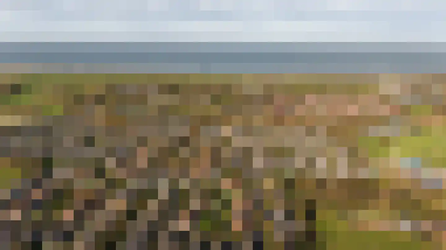 Branding 17 Domburg thumbnail 41