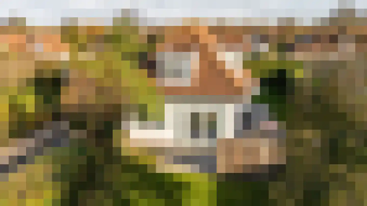 Branding 17 Domburg thumbnail 6
