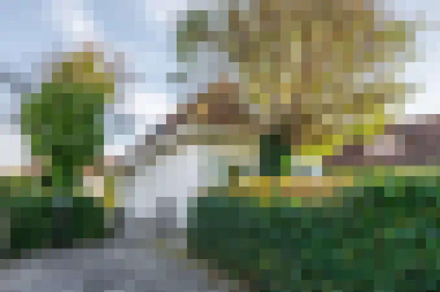 Branding 17 Domburg thumbnail 9
