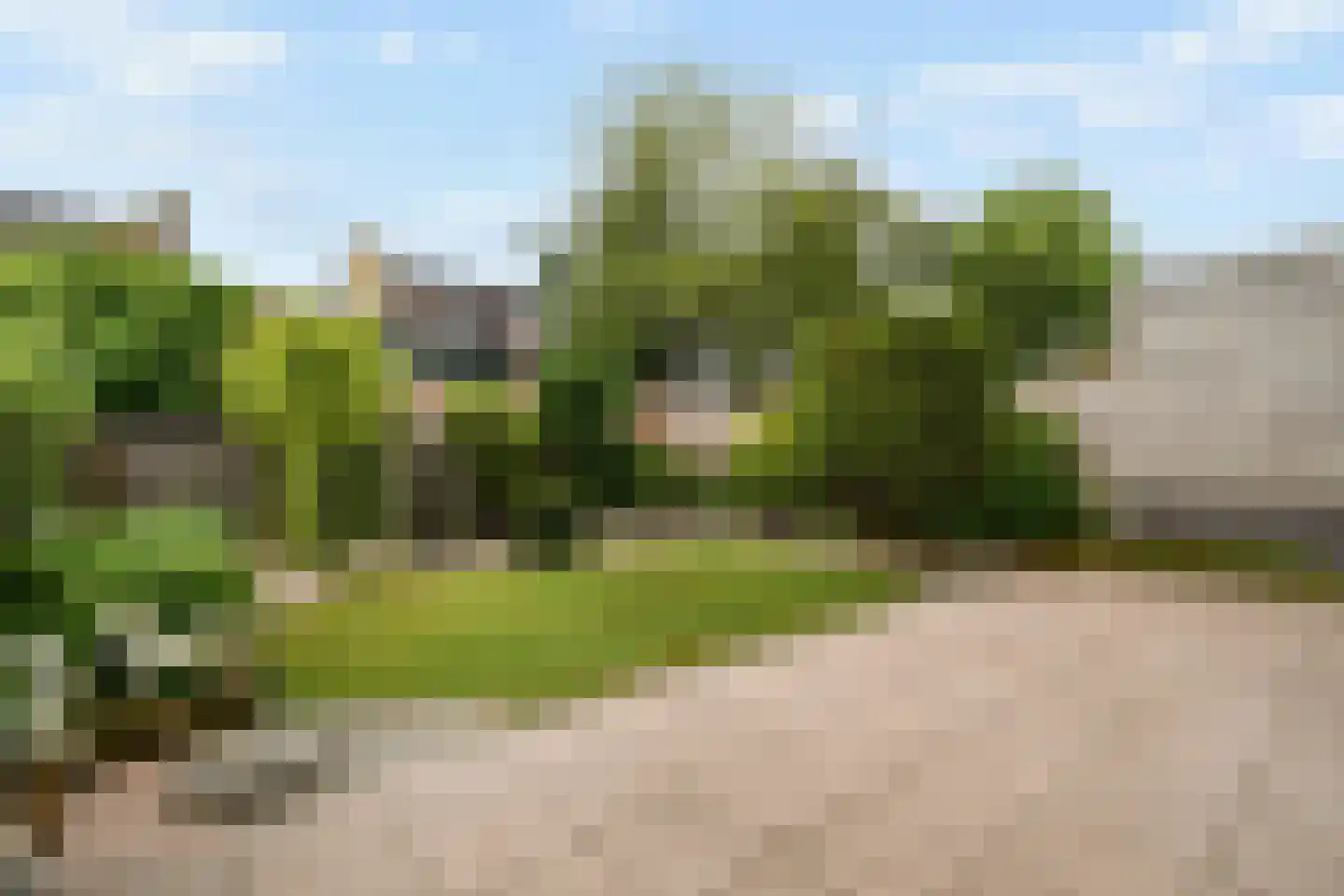 Branding 19 Amstelveen thumbnail 14