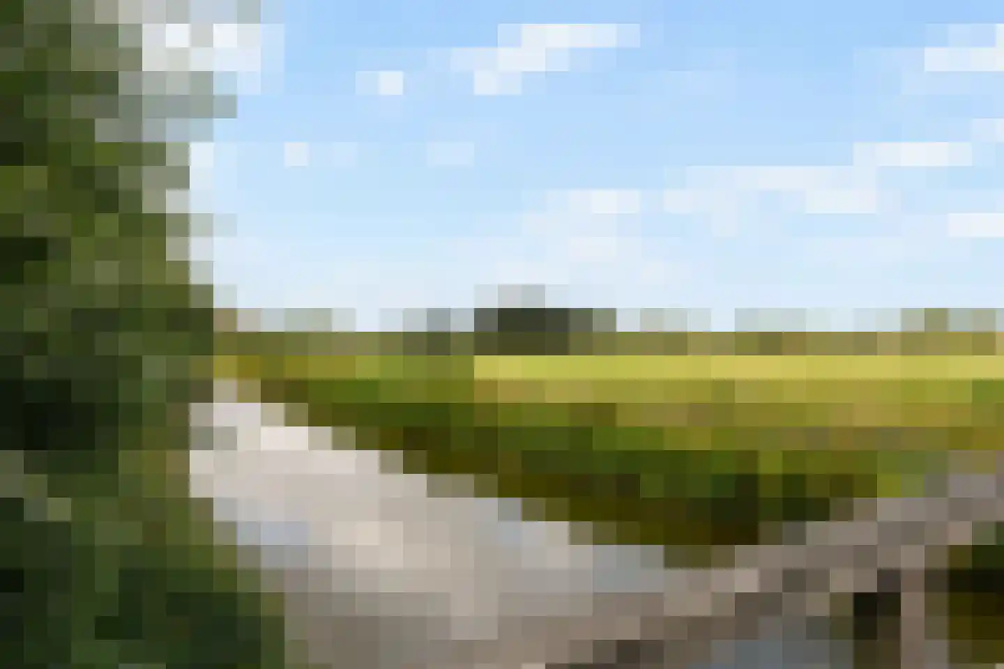 Branding 19 Amstelveen thumbnail 37