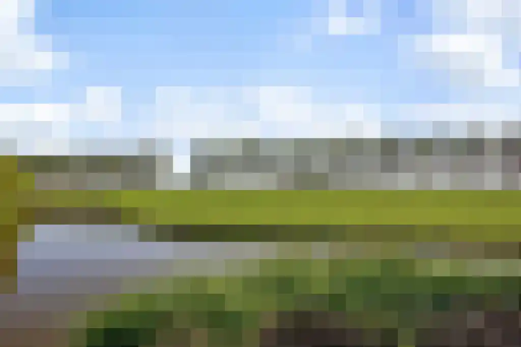 Branding 19 Amstelveen thumbnail 43