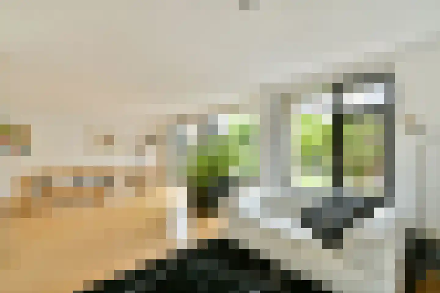 Branding 19 Amstelveen thumbnail 7