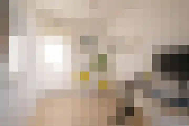 Branding 22 Alkmaar thumbnail 17
