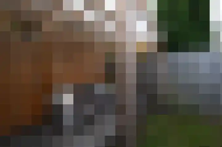 Branding 22 Alkmaar thumbnail 25
