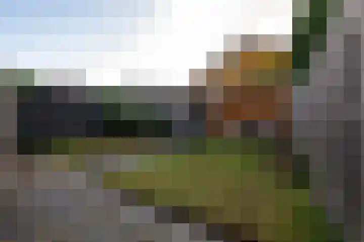 Branding 22 Alkmaar thumbnail 26