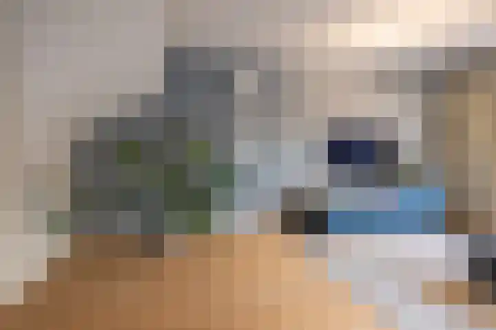 Branding 22 Alkmaar thumbnail 4